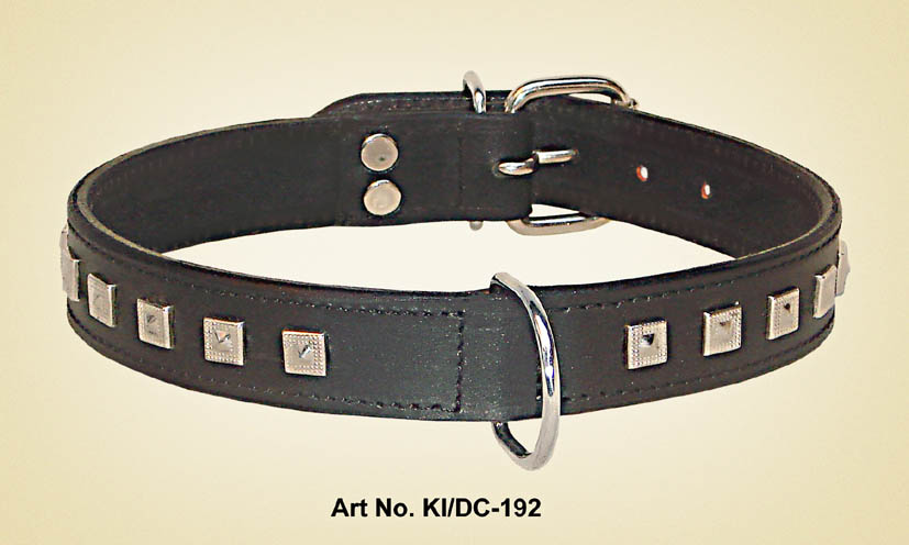 dog collar